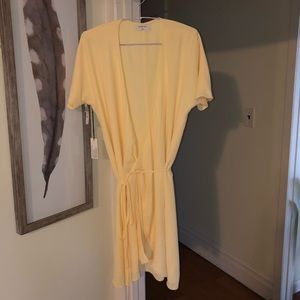 Babaton; lemongrass citronella colored wrap dress from Aritzia!